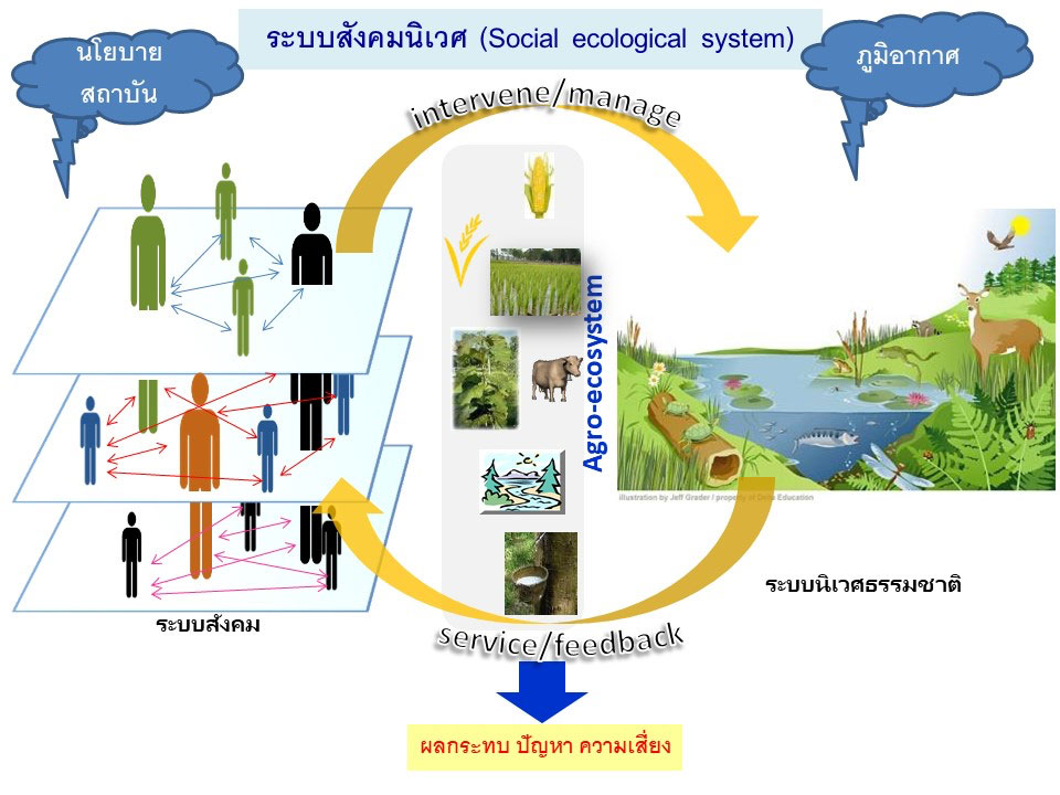 What is a holistic systems-approach based on agro-ecozones?