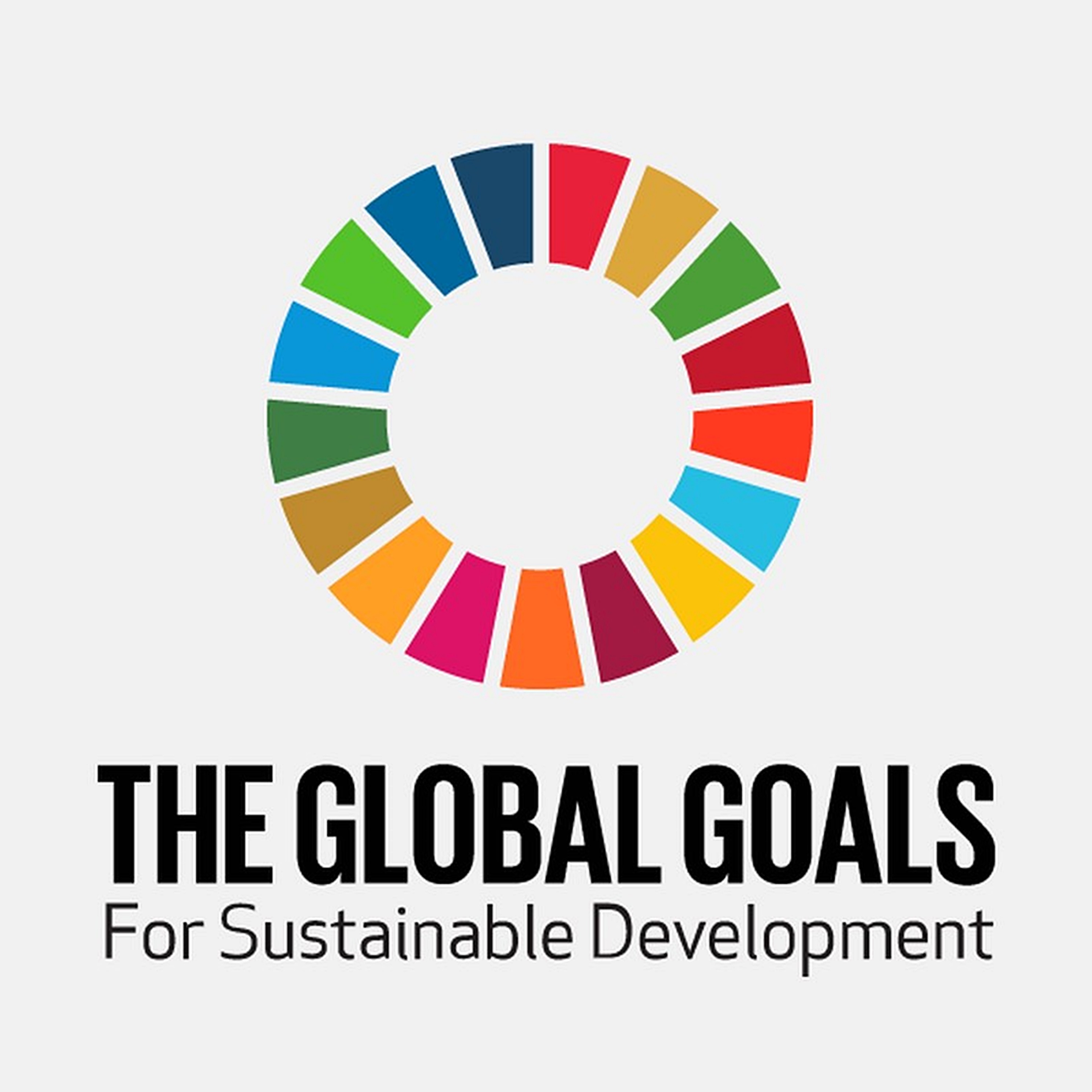 Implementation of SDGs and New Urban Agenda discussed during SDG Week
