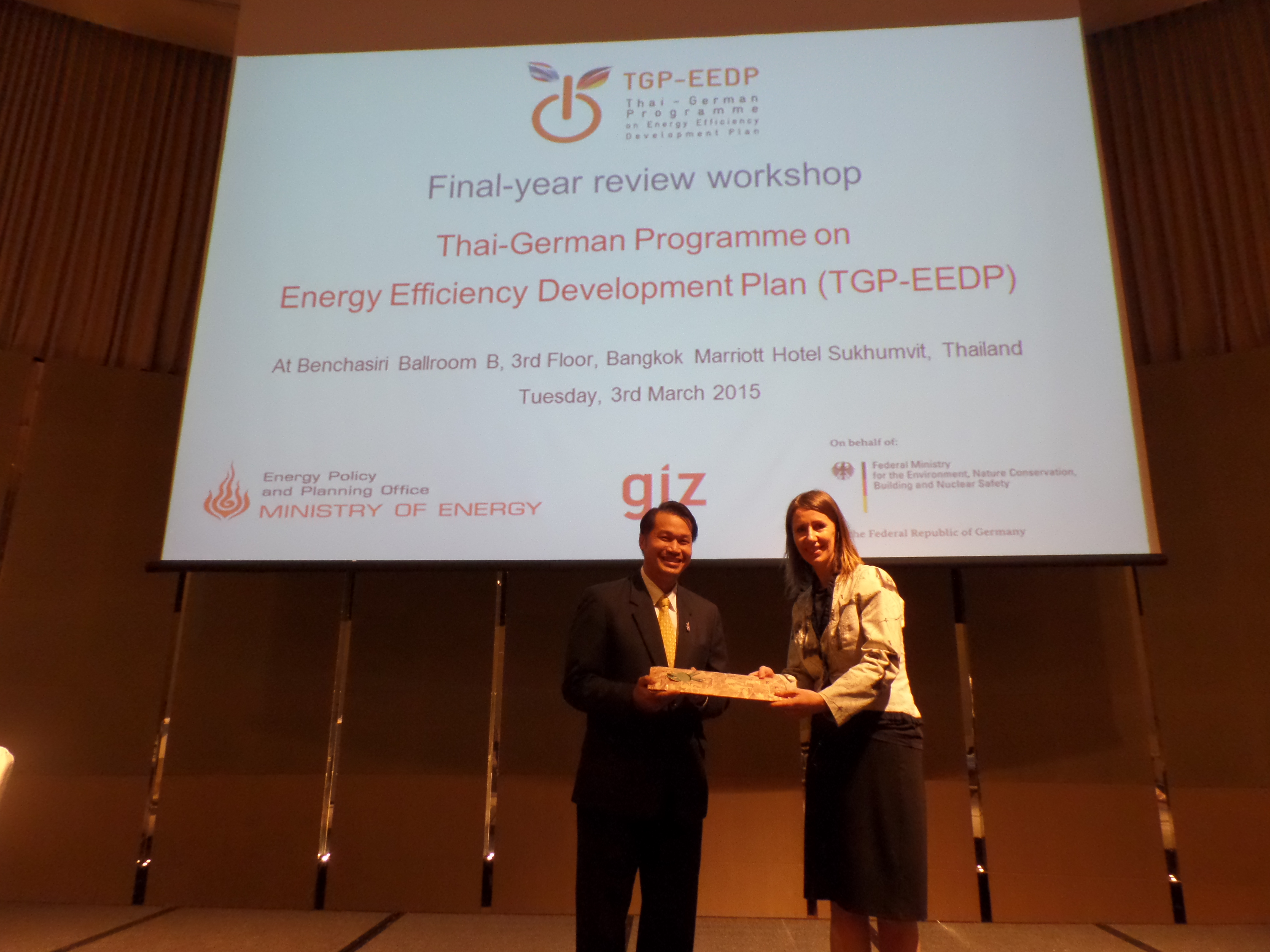 Final-Year Review Workshop of TGP-EEDP Project