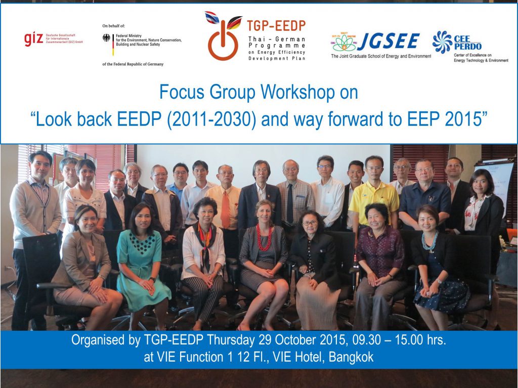 Focus Group Meeting on 'Look Back EEDP (2011-2030) and Way Forward to EEP 2015'