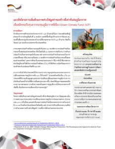 เอกสารภาษาไทยโครงการเพิ่มศักยภาพห่วงโซ่มูลค่าของข้าวที่เท่าทันต่อภูมิอากาศ