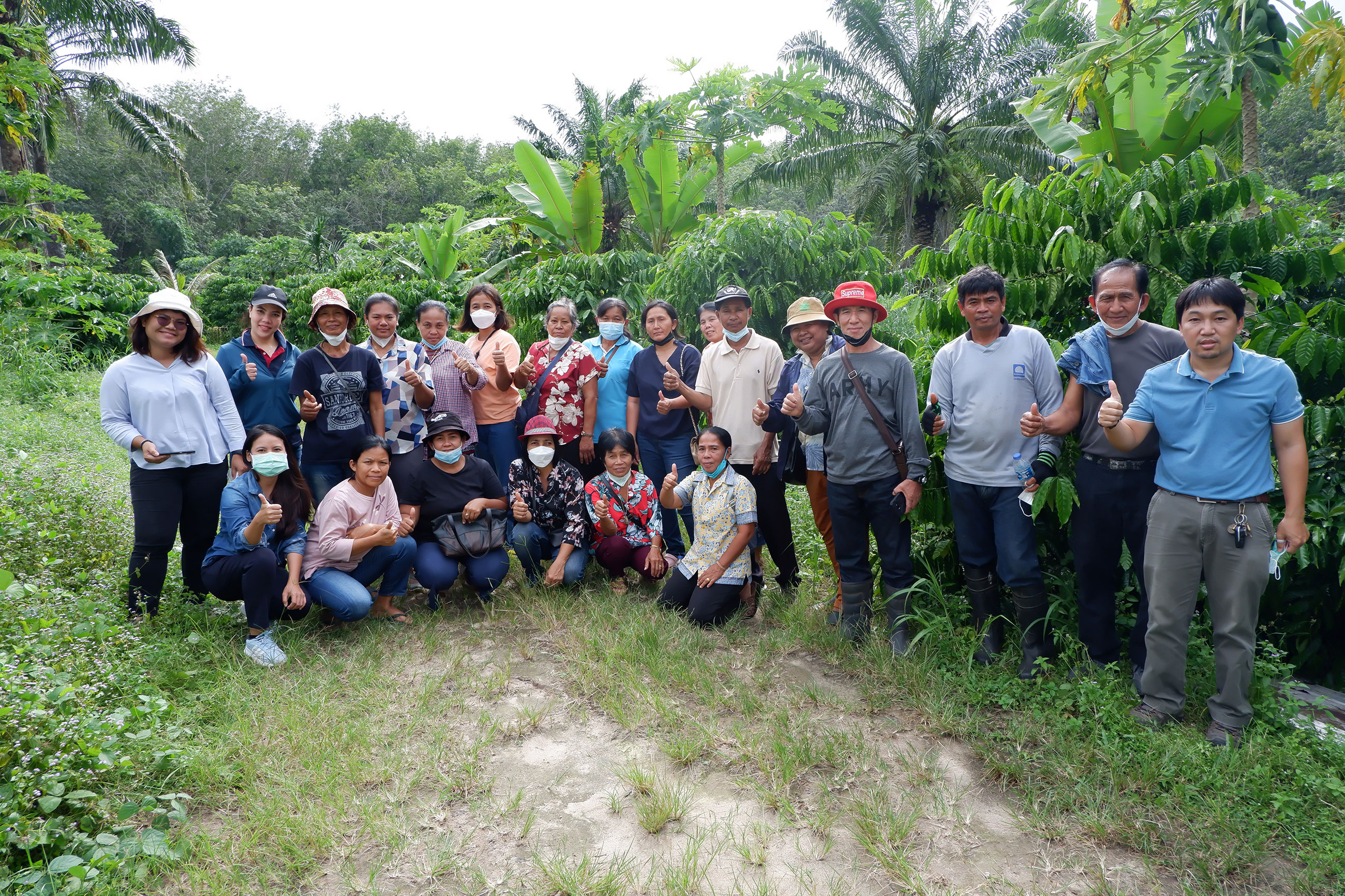 Farmer members from Huai Nai Roi Community Coffee Farmer Group, Coffee+ Project team, and Mr. Pichet Niambandit, owner of the demonstration plot, pose for a group photo.