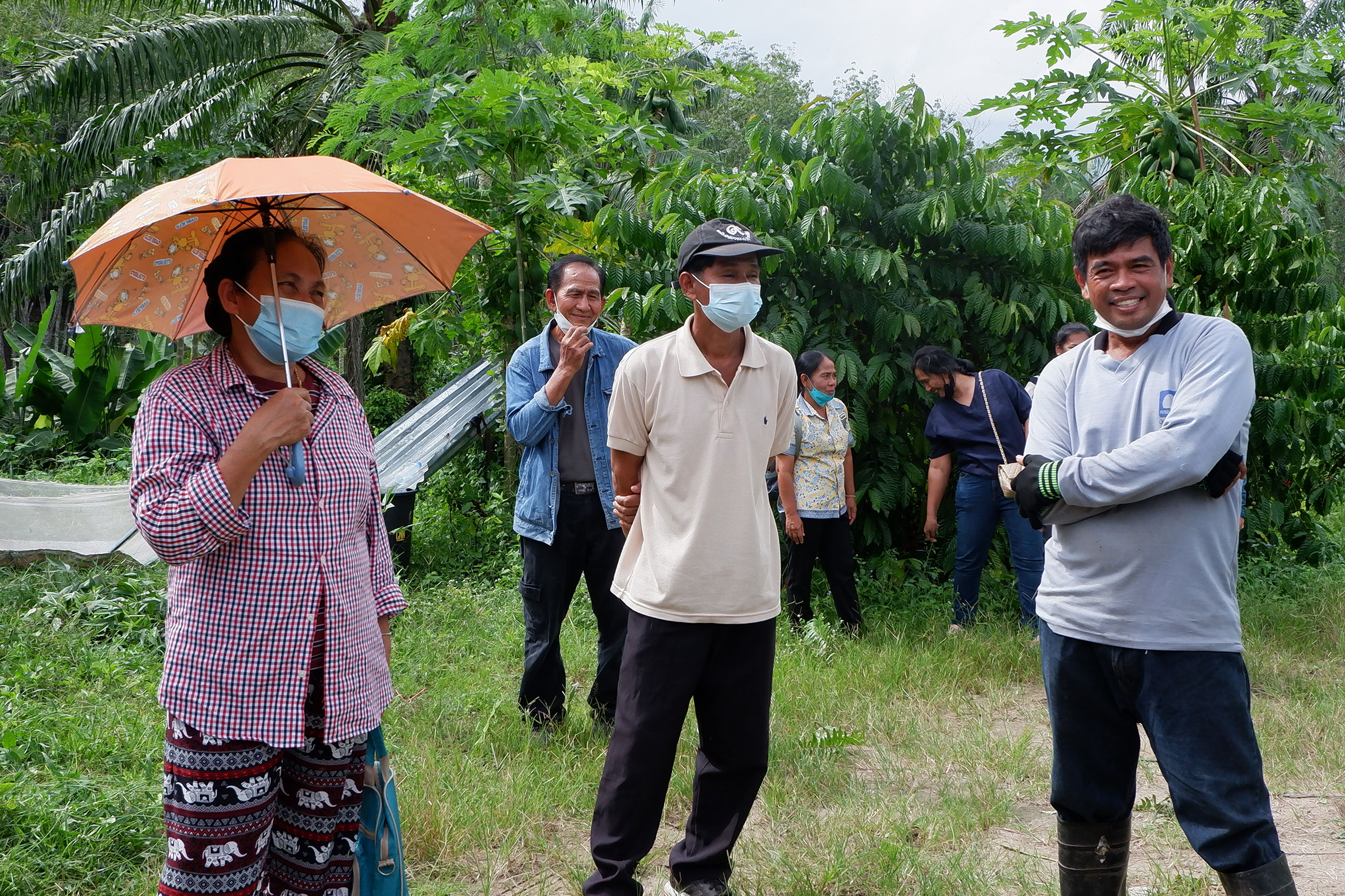 17 farmers from Huai Nai Roi Community Coffee Farmer Group had a study trip to the coffee demonstration plot that uses the integrated farming system which is owned by Mr. Pichet Niambandit(เกษตรกรสมาชิกกลุ่มผู้ปลูกกาแฟชุมชนห้วยนายร้อยจำนวน 17 คน ศึกษาดูงานที่ แปลงสาธิตการปลูกพืชกาแฟร่วมกับพืชชนิดอื่นของ คุณพิเชษฐ เนียมบรรดิษฐ ที่ ต.ไชยราช อ.บางสะพานน้อย จ.ประจวบคีรีขันธ์)